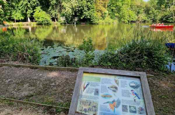 woodmill landing stage photo SCC