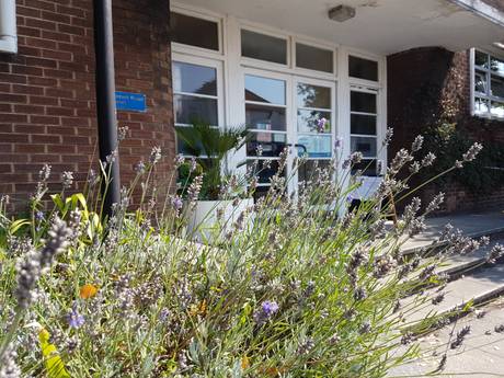 cobbett road library exterior lavender aug 2020 460