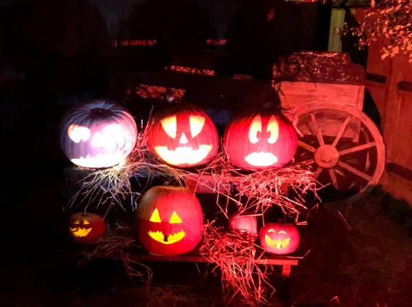 haunted house on hill 2021 pumpkins m phillips 600px