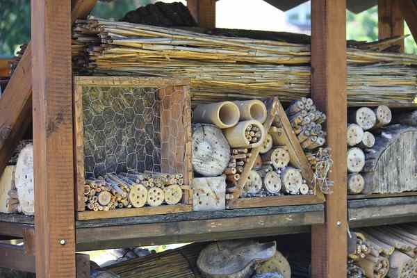 insect bug house hotel gabion pixabay